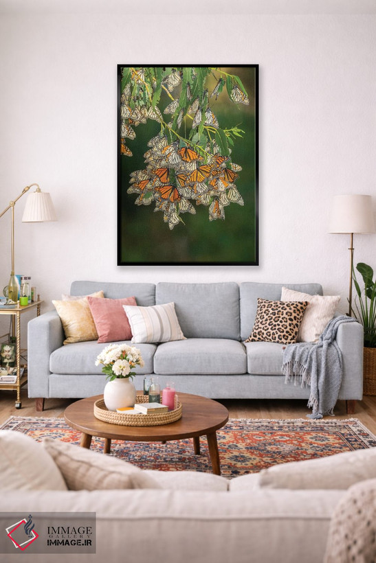 تابلو دکوراتیو California, San Luis Obispo County. Monarch butterflies in w… اثر جینز گالری - D1B