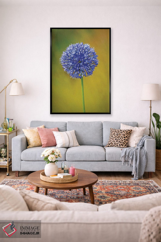 تابلو دکوراتیو Colorado, Fort Collins. Blue Allium Flower Close-Up.,نمای نز… اثر جینز گالری - D1B
