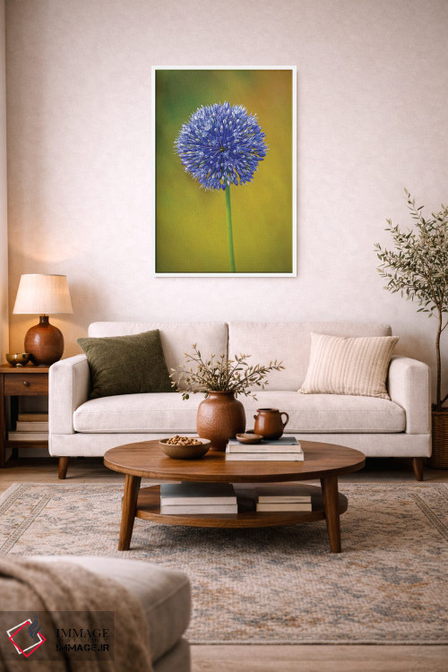 تابلو دکوراتیو Colorado, Fort Collins. Blue Allium Flower Close-Up.,نمای نز… اثر جینز گالری - D3W