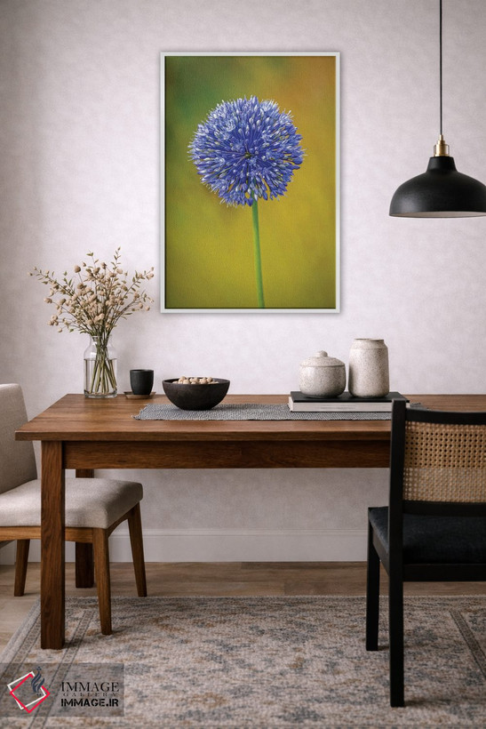 تابلو دکوراتیو Colorado, Fort Collins. Blue Allium Flower Close-Up.,نمای نز… اثر جینز گالری - D4W