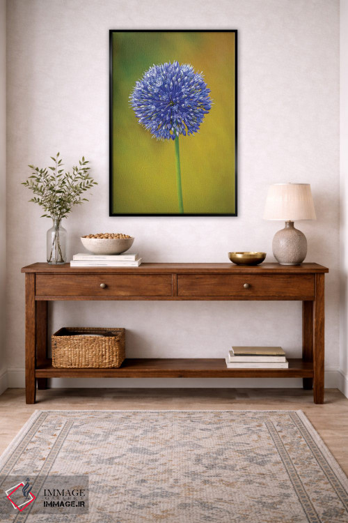 تابلو دکوراتیو Colorado, Fort Collins. Blue Allium Flower Close-Up.,نمای نز… اثر جینز گالری - D5B