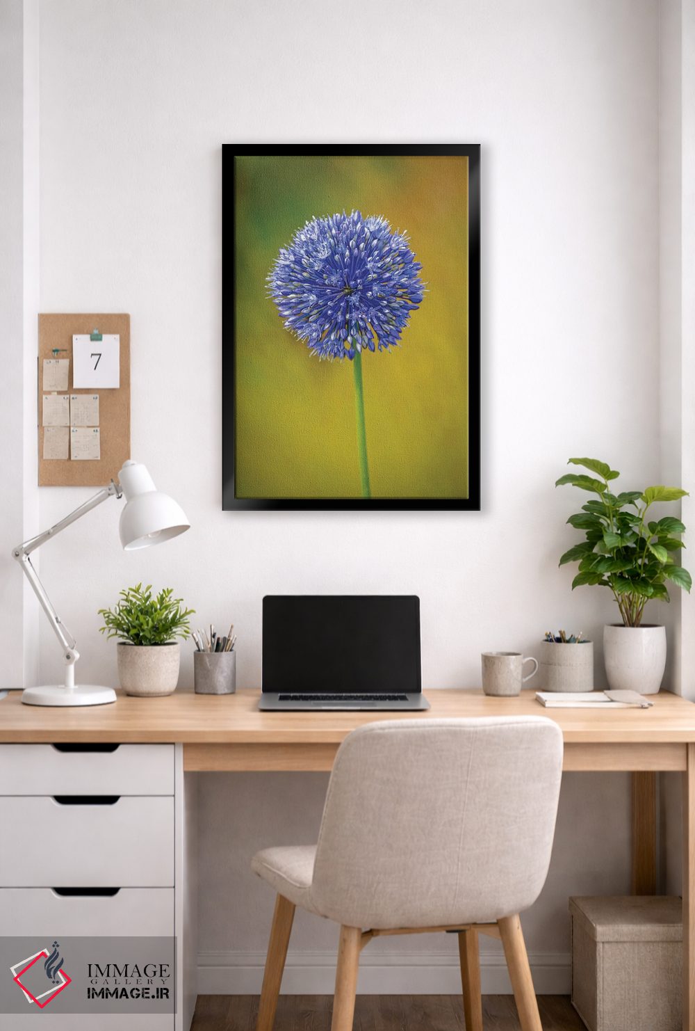 تابلو دکوراتیو Colorado, Fort Collins. Blue Allium Flower Close-Up.,نمای نز… اثر جینز گالری - D6B