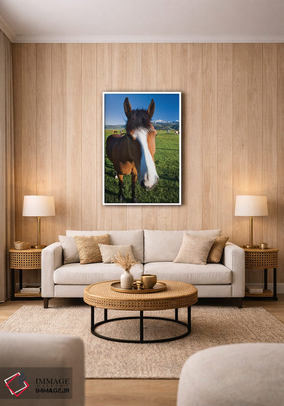 تابلو دکوراتیو California, Sierra Nevada Mountains. Curious horse in Bridge… اثر جینز گالری - D1W