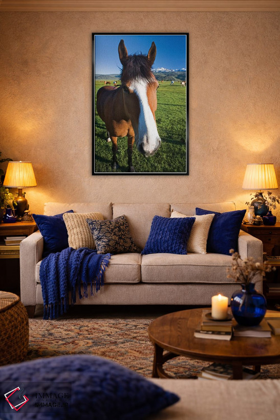 تابلو دکوراتیو California, Sierra Nevada Mountains. Curious horse in Bridge… اثر جینز گالری - D5B