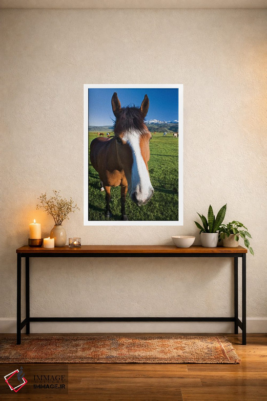 تابلو دکوراتیو California, Sierra Nevada Mountains. Curious horse in Bridge… اثر جینز گالری - D3W