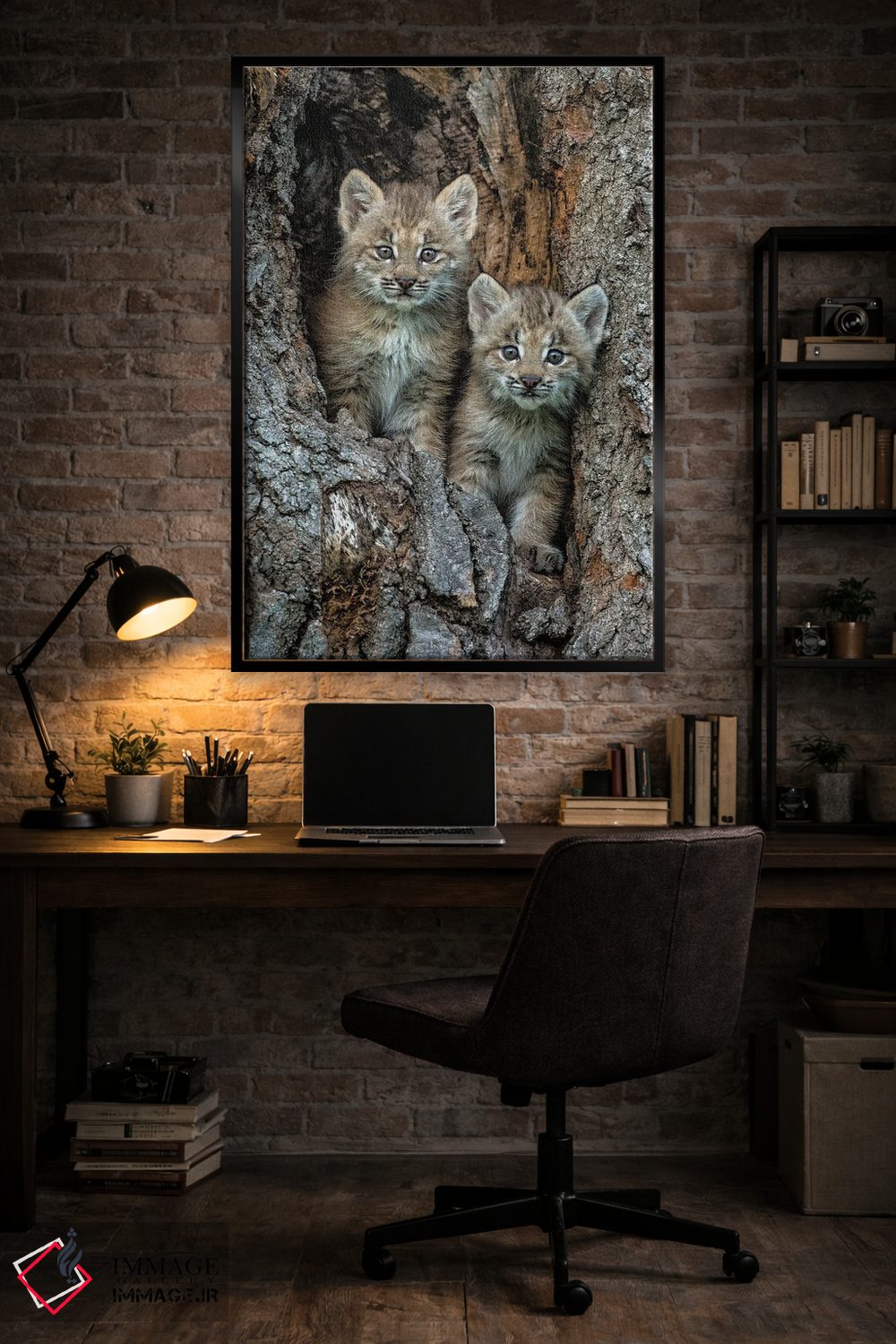 تابلو دکوراتیو Montana. Bobcat Kittens In Tree Den.,بچه گربه های وحشی در لا… اثر جینز گالری - D5B