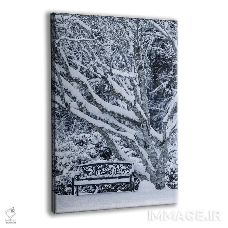 تابلو دکوراتیو Washington State, Seabeck. Snow-Covered Trees And Bench In W… اثر جینز گالری - نمای پرسپکتیو محصول