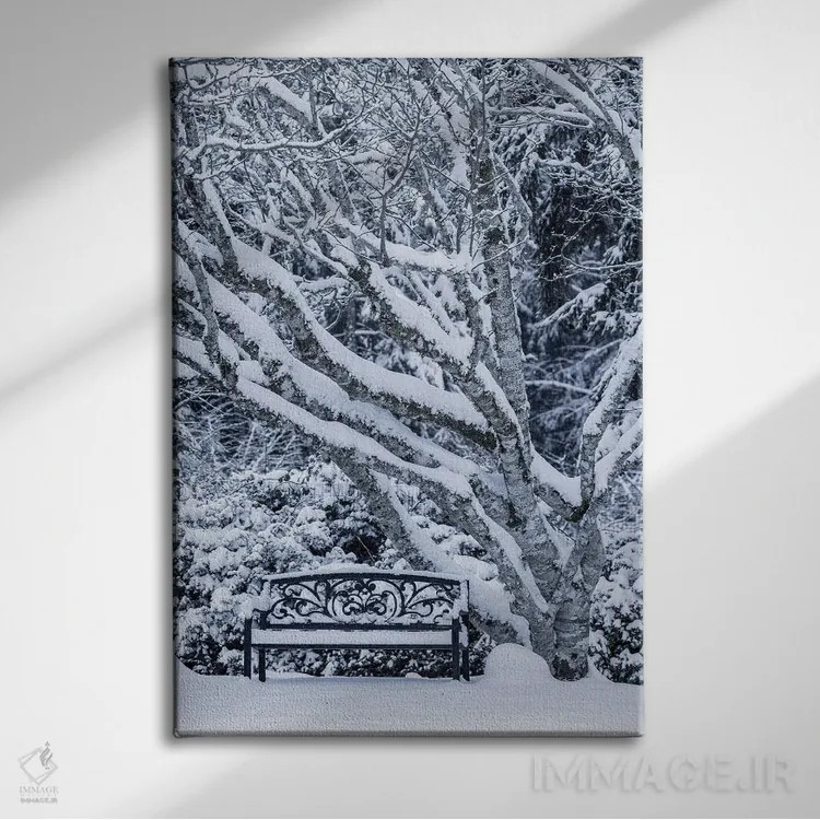 تابلو دکوراتیو Washington State, Seabeck. Snow-Covered Trees And Bench In W… اثر جینز گالری - نمای روبهرو روی دیوار