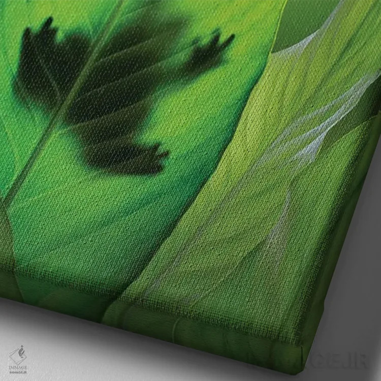 تابلو دکوراتیو Washington State, Seabeck. Composite Of Frog On Leaf.,ترکیبی… اثر جینز گالری - نمای نزدیک بافت بوم