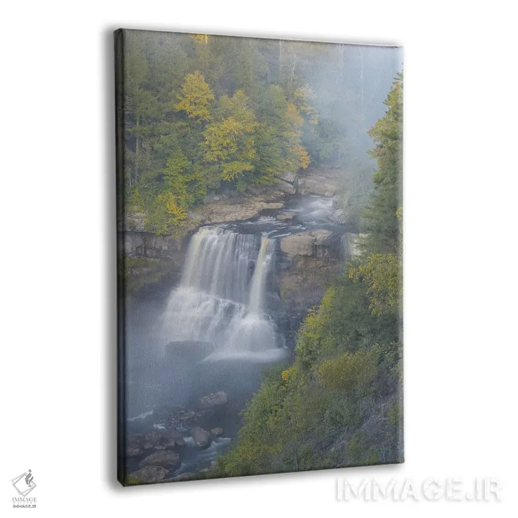 تابلو دکوراتیو West Virginia, Davis. Overview Of Waterfall In Blackwater St… اثر جینز گالری - نمای پرسپکتیو محصول