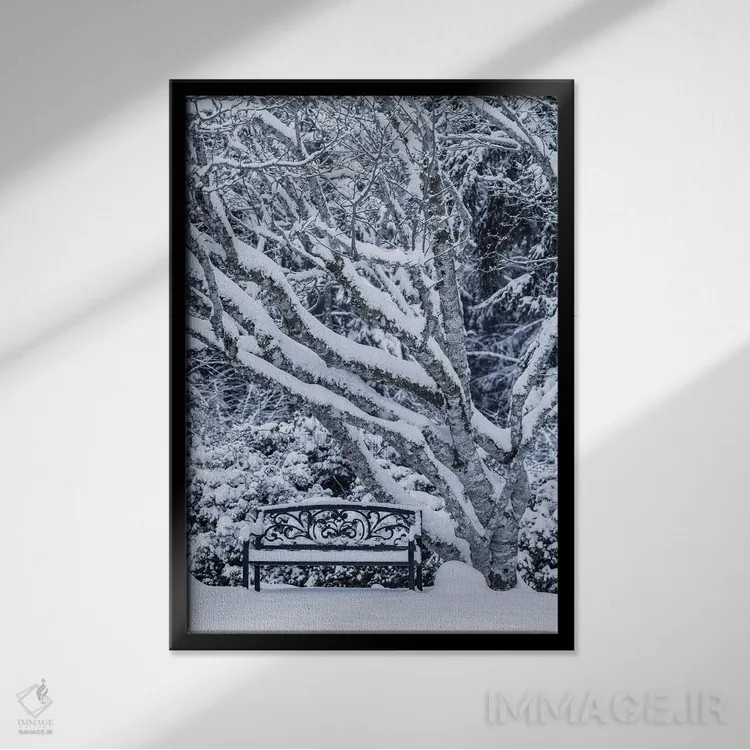 تابلو دکوراتیو Washington State, Seabeck. Snow-Covered Trees And Bench In W… اثر جینز گالری - نمای قابدار مشکی