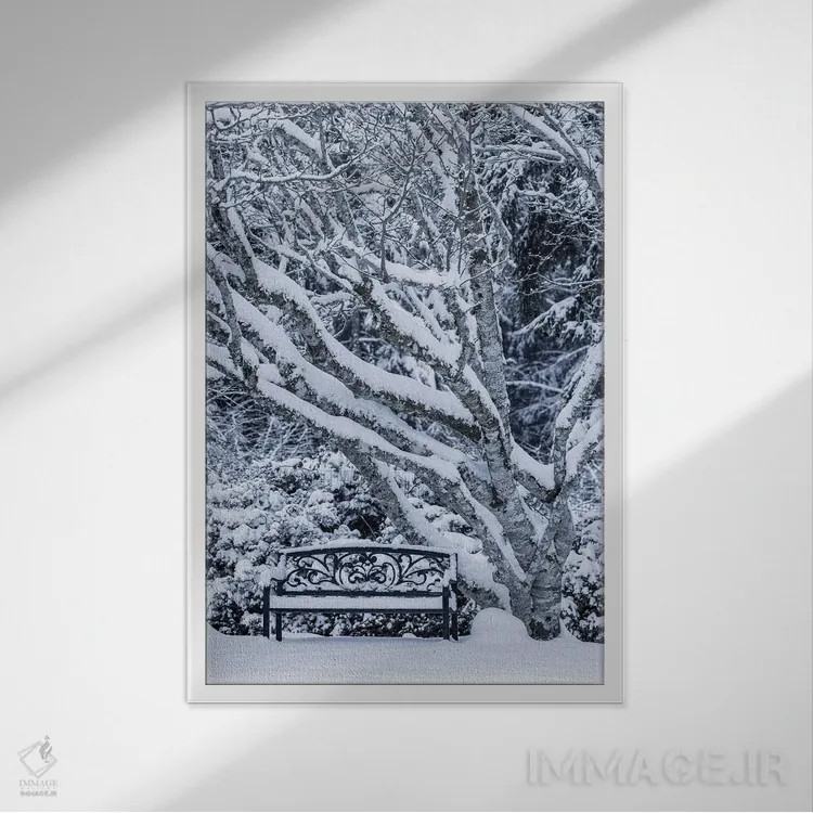 تابلو دکوراتیو Washington State, Seabeck. Snow-Covered Trees And Bench In W… اثر جینز گالری - نمای قابدار سفید