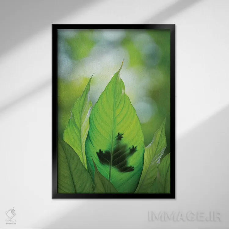 تابلو دکوراتیو Washington State, Seabeck. Composite Of Frog On Leaf.,ترکیبی… اثر جینز گالری - نمای قابدار مشکی