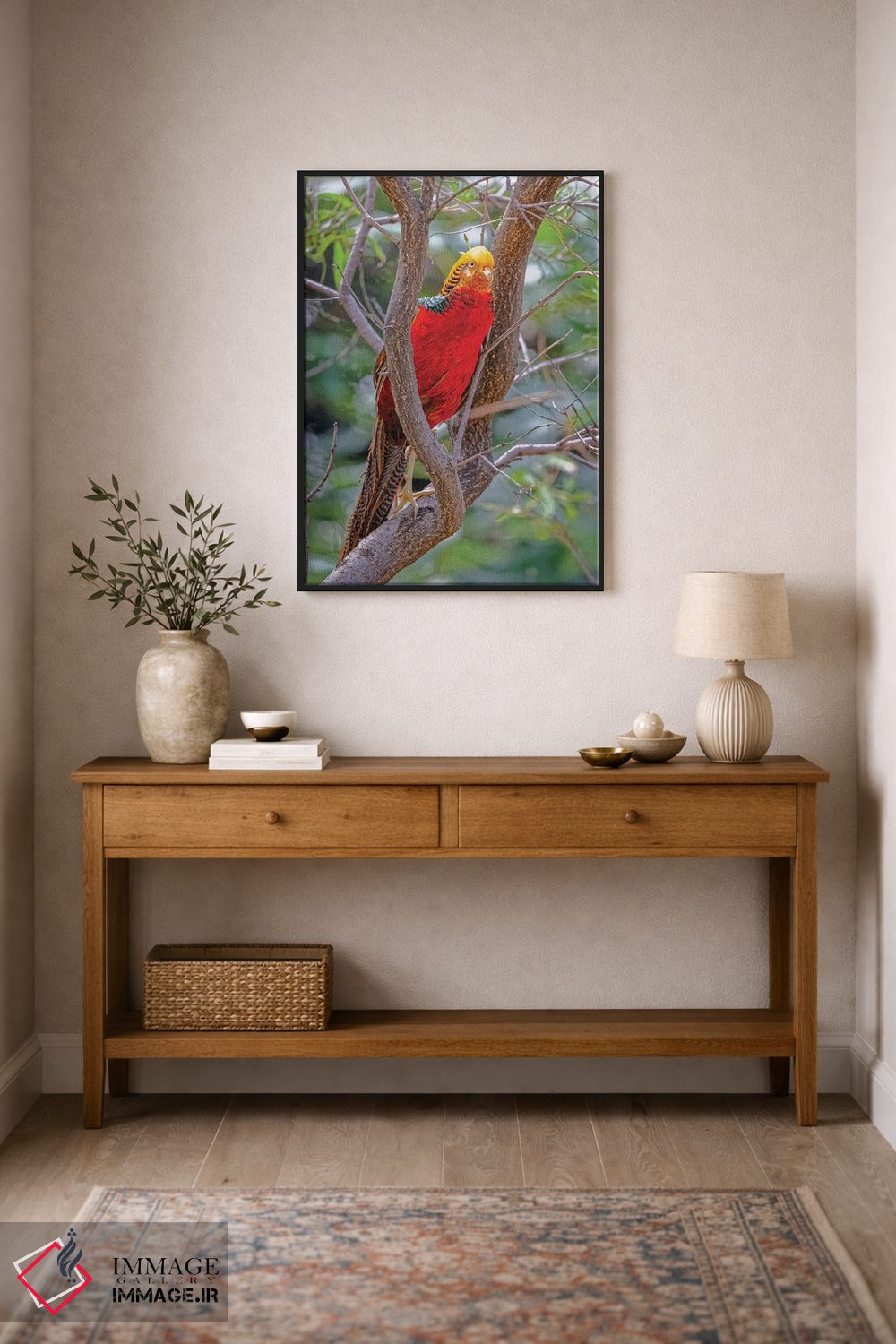 تابلو دکوراتیو New Mexico, Alamogordo, Alameda Park Zoo. Golden Male Pheasa… اثر جینز گالری - D2B