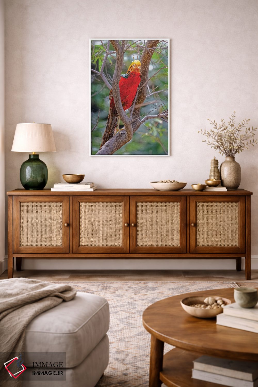 تابلو دکوراتیو New Mexico, Alamogordo, Alameda Park Zoo. Golden Male Pheasa… اثر جینز گالری - D3W