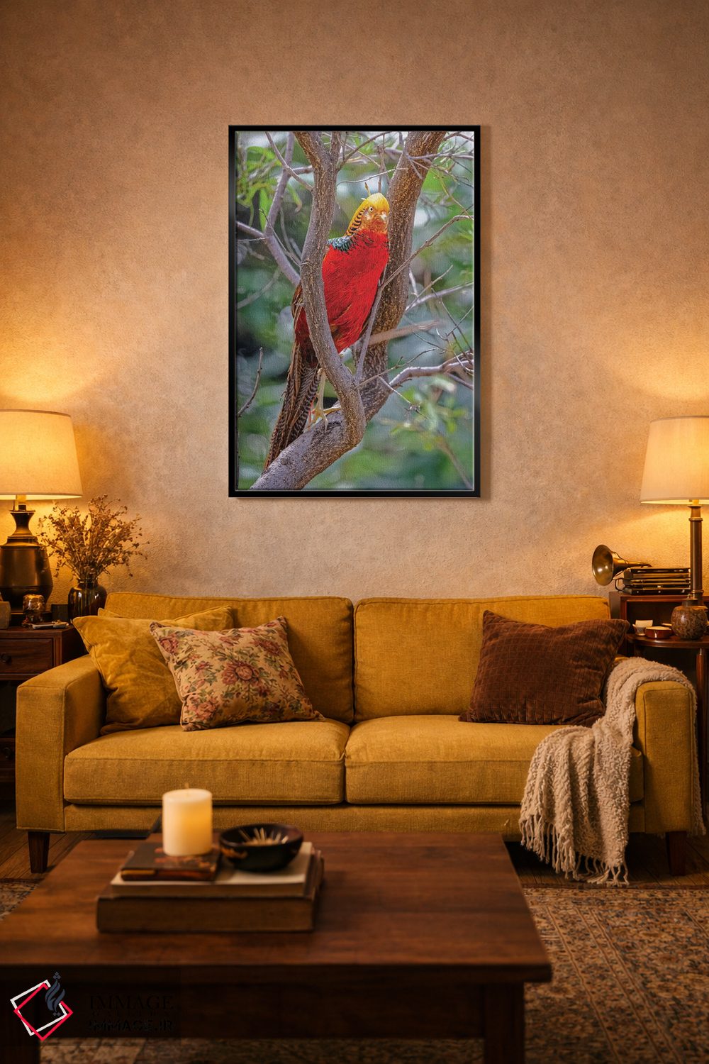 تابلو دکوراتیو New Mexico, Alamogordo, Alameda Park Zoo. Golden Male Pheasa… اثر جینز گالری - D5B