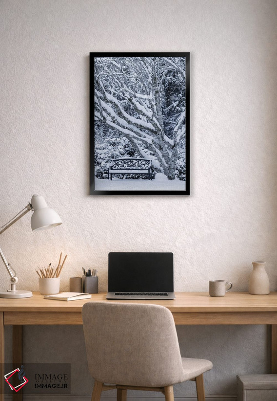 تابلو دکوراتیو Washington State, Seabeck. Snow-Covered Trees And Bench In W… اثر جینز گالری - D2B