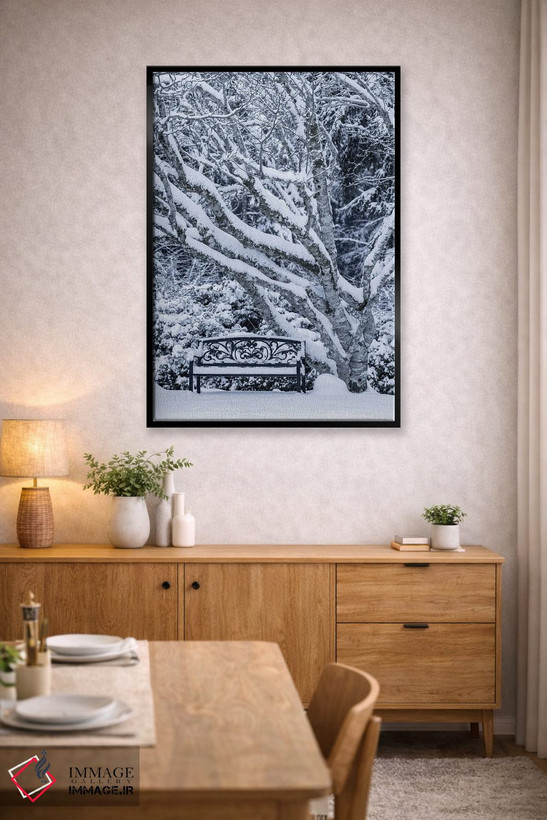 تابلو دکوراتیو Washington State, Seabeck. Snow-Covered Trees And Bench In W… اثر جینز گالری - D4B