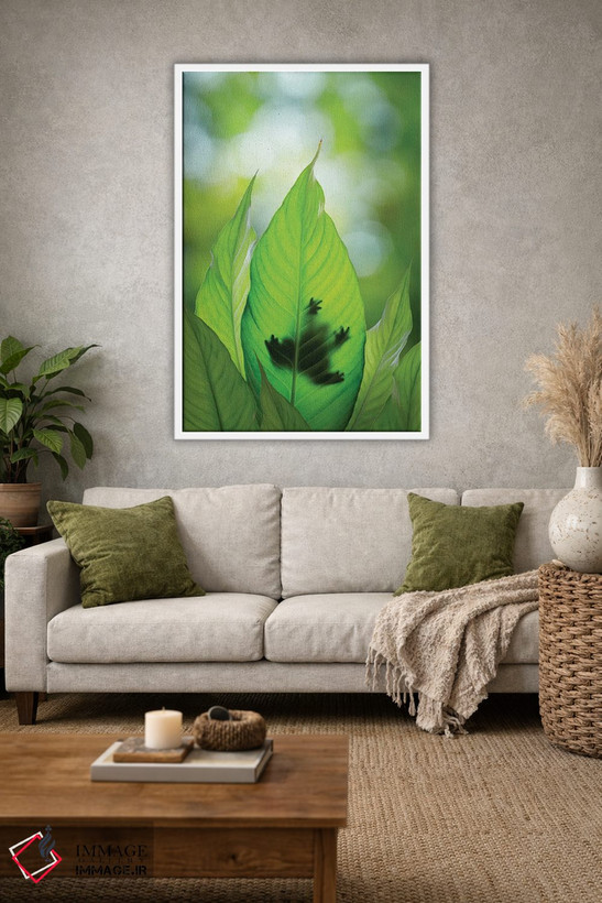 تابلو دکوراتیو Washington State, Seabeck. Composite Of Frog On Leaf.,ترکیبی… اثر جینز گالری - D1W