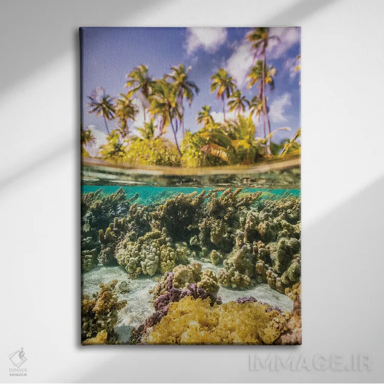 تابلو دکوراتیو Taha'a Under/Above Water Split Of Coral And Palm Trees,ترکیب… اثر جینز گالری - نمای روبهرو روی دیوار