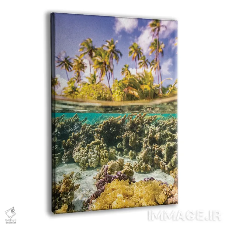 تابلو دکوراتیو Taha'a Under/Above Water Split Of Coral And Palm Trees,ترکیب… اثر جینز گالری - نمای پرسپکتیو محصول