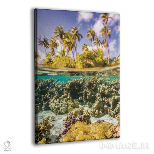 تابلو دکوراتیو Taha'a Under/Above Water Split Of Coral And Palm Trees,ترکیب… اثر جینز گالری - نمای پرسپکتیو محصول