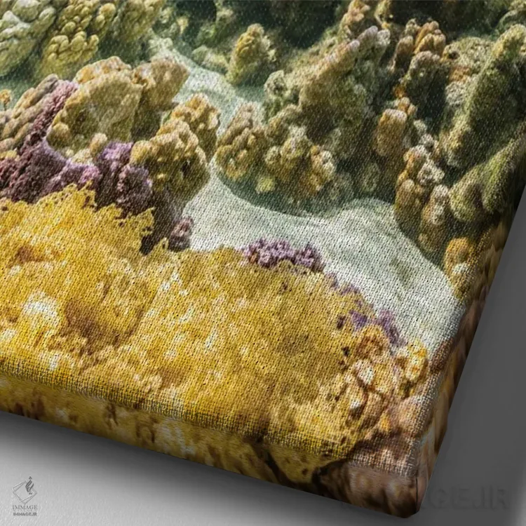 تابلو دکوراتیو Taha'a Under/Above Water Split Of Coral And Palm Trees,ترکیب… اثر جینز گالری - نمای نزدیک بافت بوم