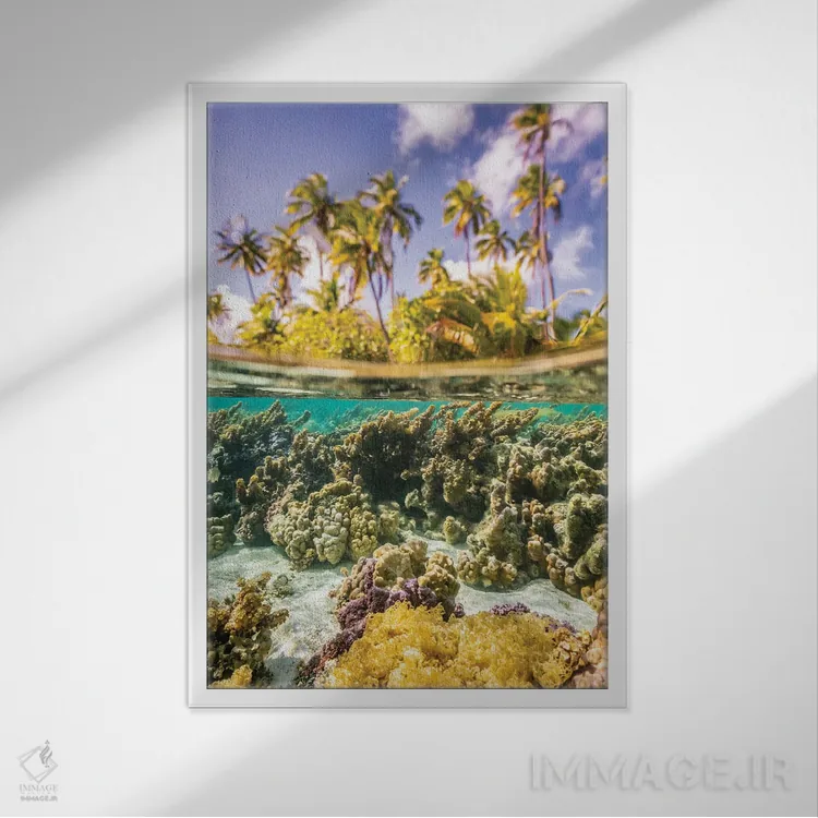 تابلو دکوراتیو Taha'a Under/Above Water Split Of Coral And Palm Trees,ترکیب… اثر جینز گالری - نمای قابدار سفید