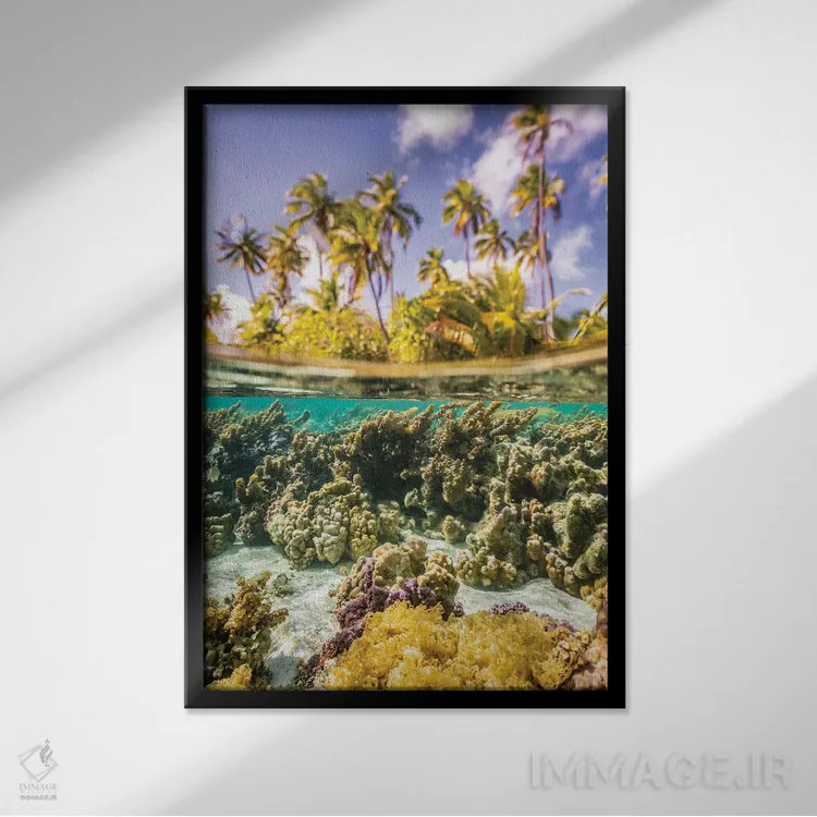 تابلو دکوراتیو Taha'a Under/Above Water Split Of Coral And Palm Trees,ترکیب… اثر جینز گالری - نمای قابدار مشکی