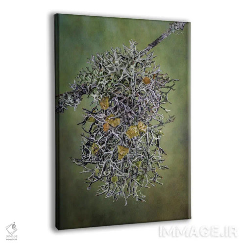 تابلو دکوراتیو نمای نزدیک گیاه اثر جینز گالری - نمای پرسپکتیو محصول