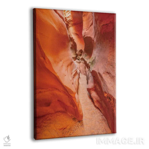 تابلو دکوراتیو Utah, Grand Staircase Escalante National Monument Bighorn Ca… اثر جینز گالری - نمای پرسپکتیو محصول
