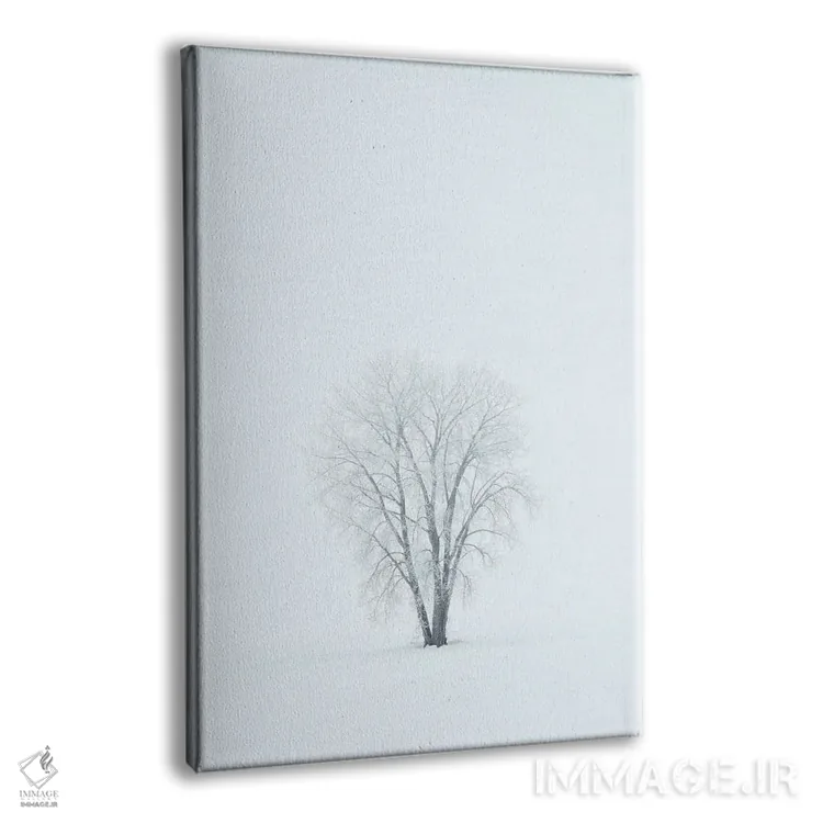 تابلو دکوراتیو کانادا، منیتوبا، دوگالد. درخت صنوبر دشت پوشیده از یخ زدگی در… اثر جینز گالری - نمای پرسپکتیو محصول