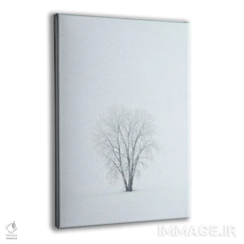 تابلو دکوراتیو کانادا، منیتوبا، دوگالد. درخت صنوبر دشت پوشیده از یخ زدگی در… اثر جینز گالری - نمای پرسپکتیو محصول