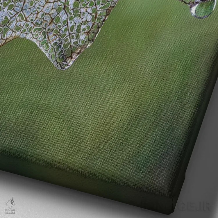 تابلو دکوراتیو Washington State, Seabeck Skeletonized Vanilla Leaf Close-Up… اثر جینز گالری - نمای نزدیک بافت بوم