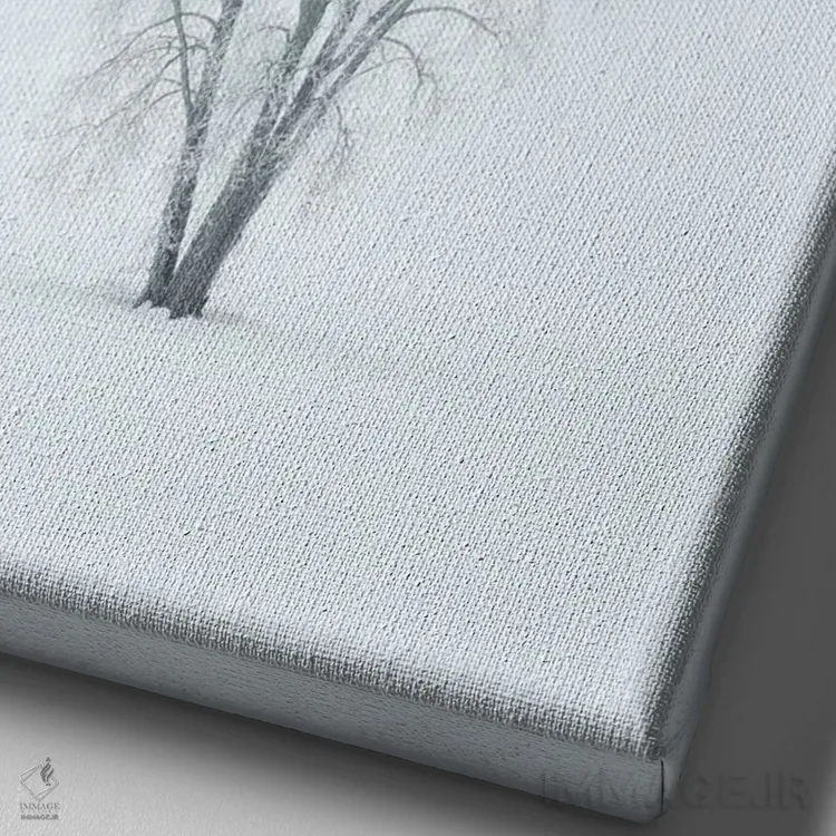 تابلو دکوراتیو کانادا، منیتوبا، دوگالد. درخت صنوبر دشت پوشیده از یخ زدگی در… اثر جینز گالری - نمای نزدیک بافت بوم