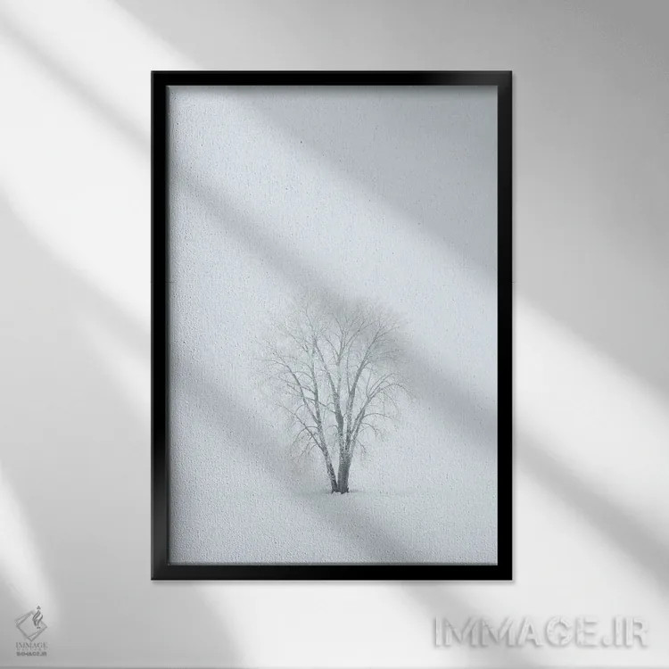 تابلو دکوراتیو کانادا، منیتوبا، دوگالد. درخت صنوبر دشت پوشیده از یخ زدگی در… اثر جینز گالری - نمای قابدار مشکی