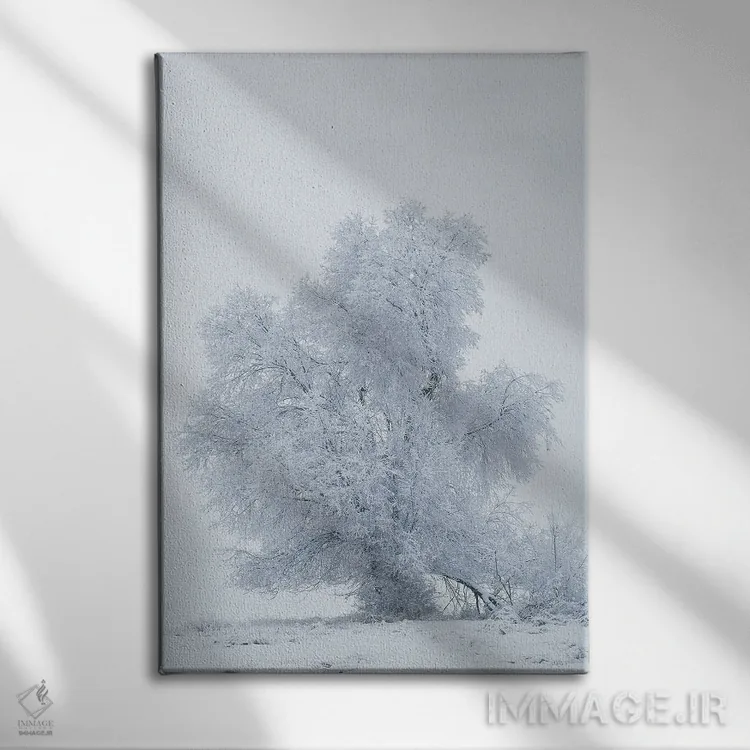 تابلو دکوراتیو آمریکا، مونتانا، کالیسپل. درخت صنوبر در طوفان برفی اثر جینز گالری - نمای روبهرو روی دیوار