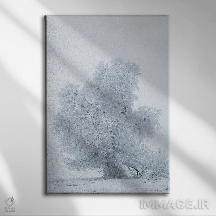تابلو دکوراتیو آمریکا، مونتانا، کالیسپل. درخت صنوبر در طوفان برفی اثر جینز گالری - نمای روبهرو روی دیوار