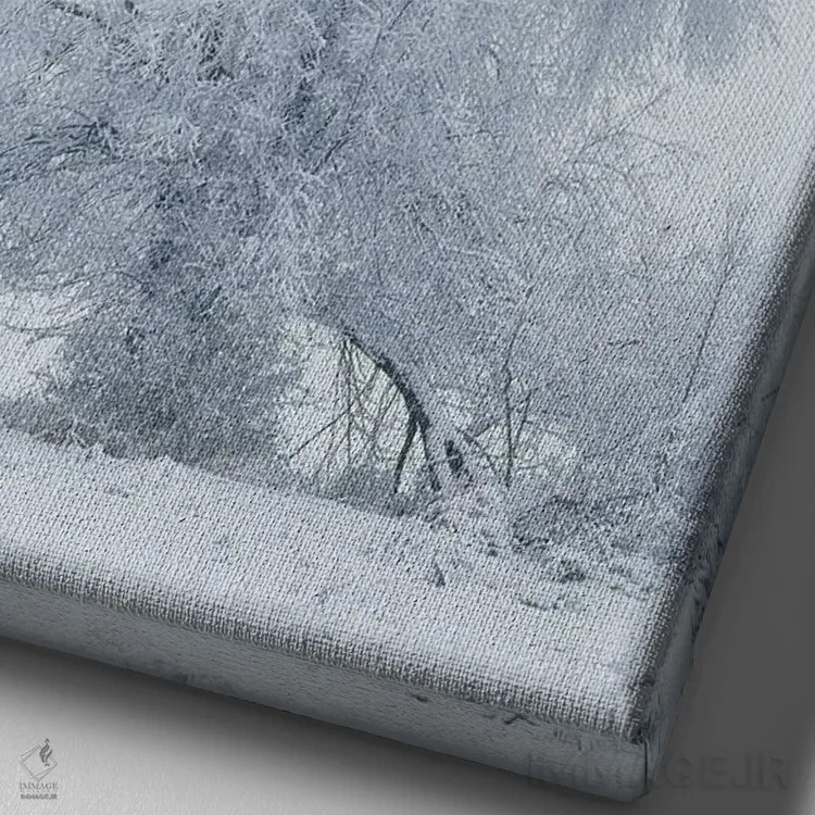 تابلو دکوراتیو آمریکا، مونتانا، کالیسپل. درخت صنوبر در طوفان برفی اثر جینز گالری - نمای نزدیک بافت بوم