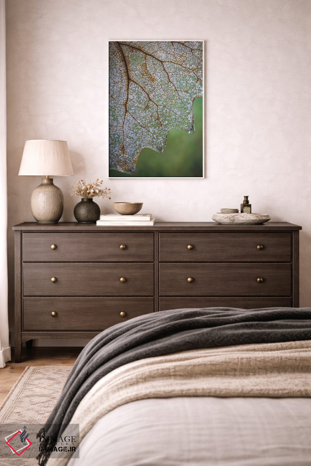 تابلو دکوراتیو Washington State, Seabeck Skeletonized Vanilla Leaf Close-Up… اثر جینز گالری - D3W