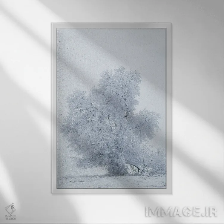 تابلو دکوراتیو آمریکا، مونتانا، کالیسپل. درخت صنوبر در طوفان برفی اثر جینز گالری - نمای قابدار سفید