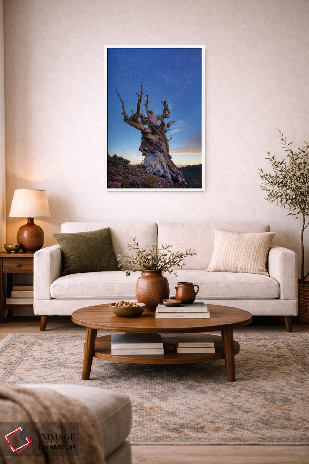 تابلو دکوراتیو آمریکا، کالیفرنیا، رشته کوه وایت. درخت کاج بریستلوکون در غرو… اثر جینز گالری - D2W