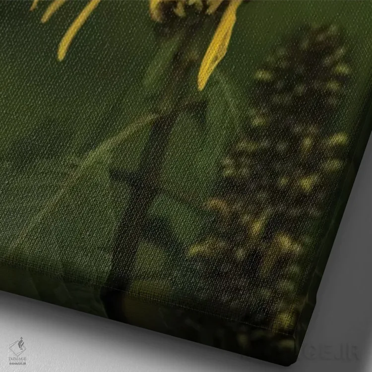 تابلو دکوراتیو کارائیب، کاستاریکا. زنبورک سبز تاج دار در حال تغذیه اثر جینز گالری - نمای نزدیک بافت بوم