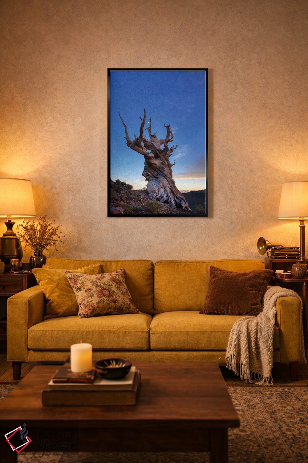 تابلو دکوراتیو آمریکا، کالیفرنیا، رشته کوه وایت. درخت کاج بریستلوکون در غرو… اثر جینز گالری - D4B