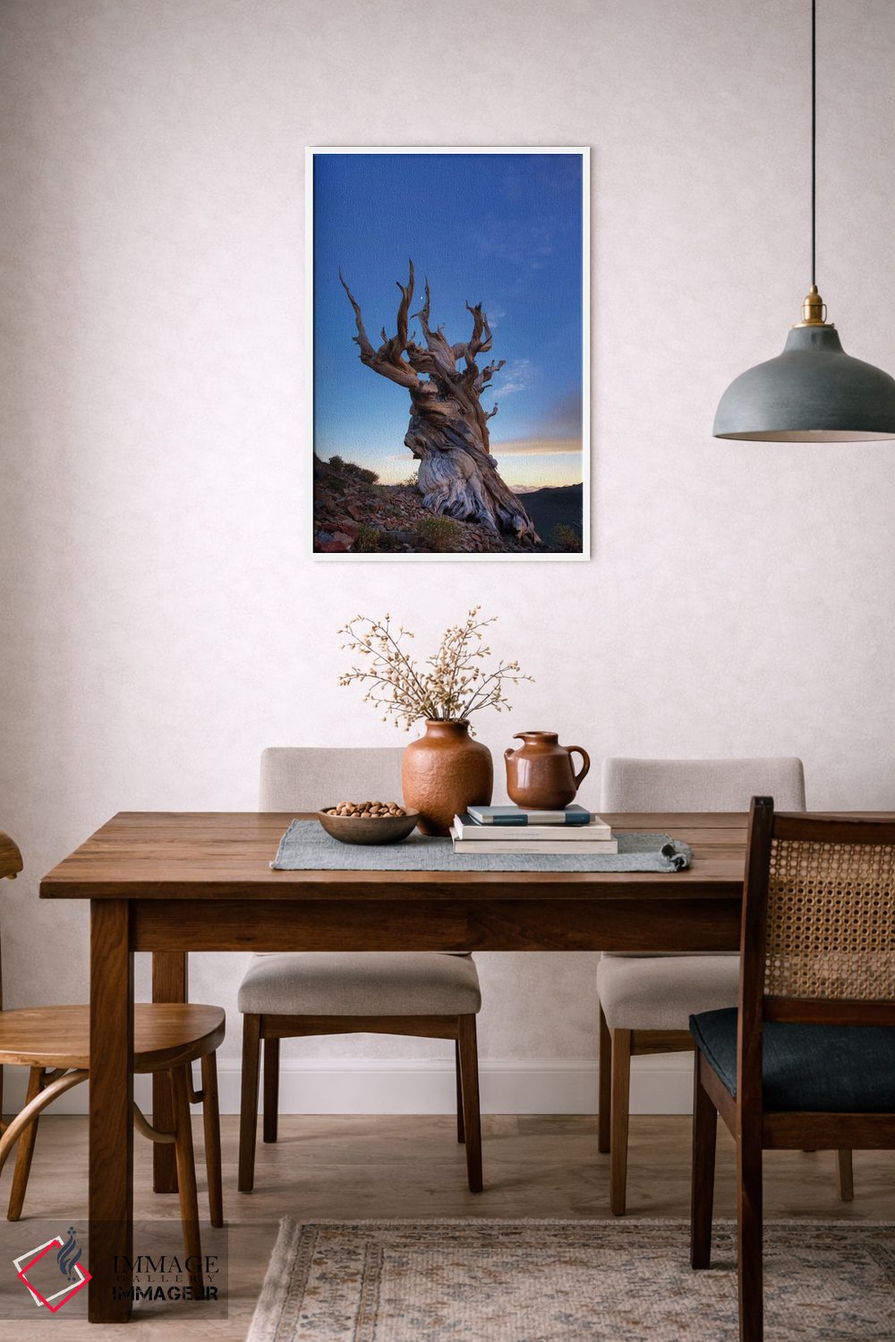 تابلو دکوراتیو آمریکا، کالیفرنیا، رشته کوه وایت. درخت کاج بریستلوکون در غرو… اثر جینز گالری - D6W