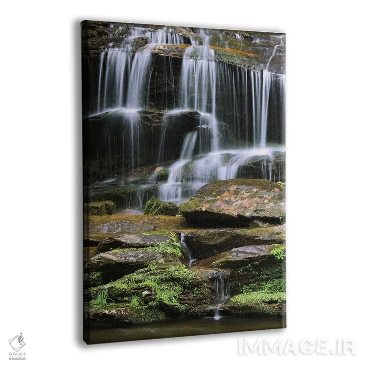 تابلو دکوراتیو آمریکا، تنسی، پارک ملی کوه های گریتموکی. آبشار اثر جینز گالری - نمای پرسپکتیو محصول