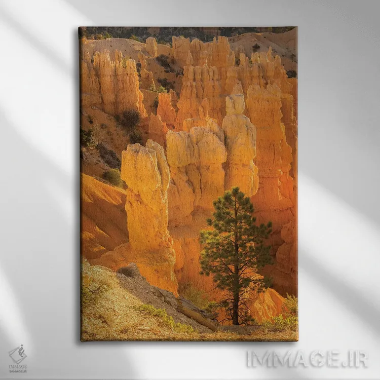 تابلو دکوراتیو آمریکا، یوتا، پارک ملی برایس کنیون. سازه های سنگی اثر جینز گالری - نمای روبهرو روی دیوار
