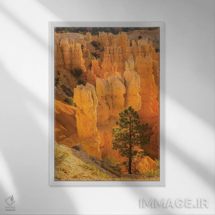 تابلو دکوراتیو آمریکا، یوتا، پارک ملی برایس کنیون. سازه های سنگی اثر جینز گالری - نمای قابدار سفید