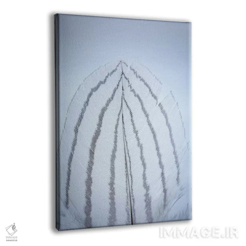 تابلو دکوراتیو Washington State, Seabeck. Detail of feather I,ایالات متحده… اثر جینز گالری - نمای پرسپکتیو محصول