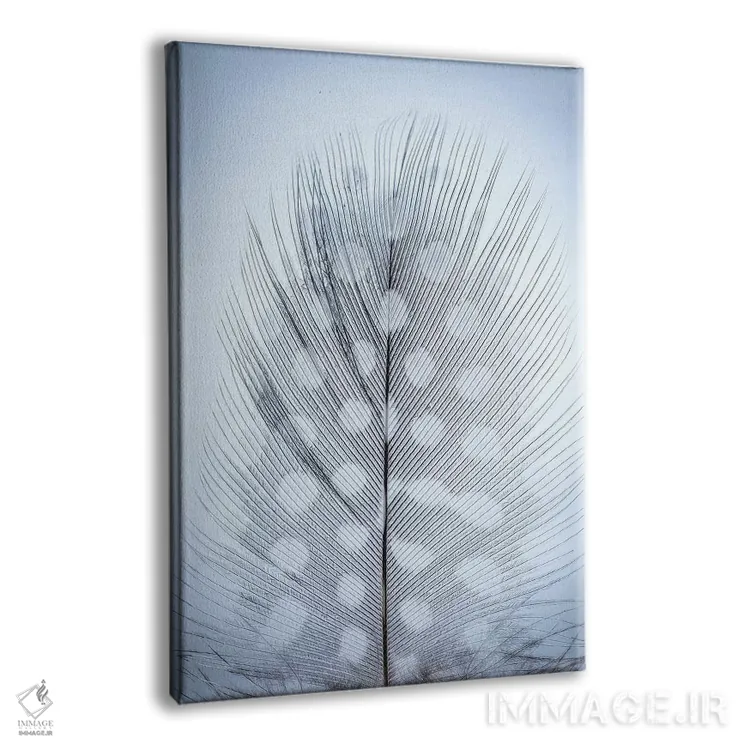 تابلو دکوراتیو Washington State, Seabeck. Detail of feather II,ایالات متحده… اثر جینز گالری - نمای پرسپکتیو محصول